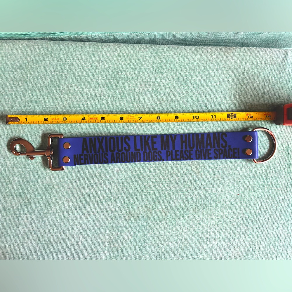 Blue leash attachment with anxious sign